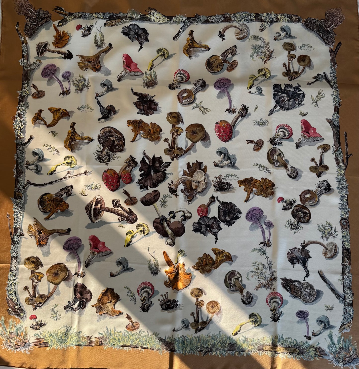 Hermés “Mushrooms” scarf