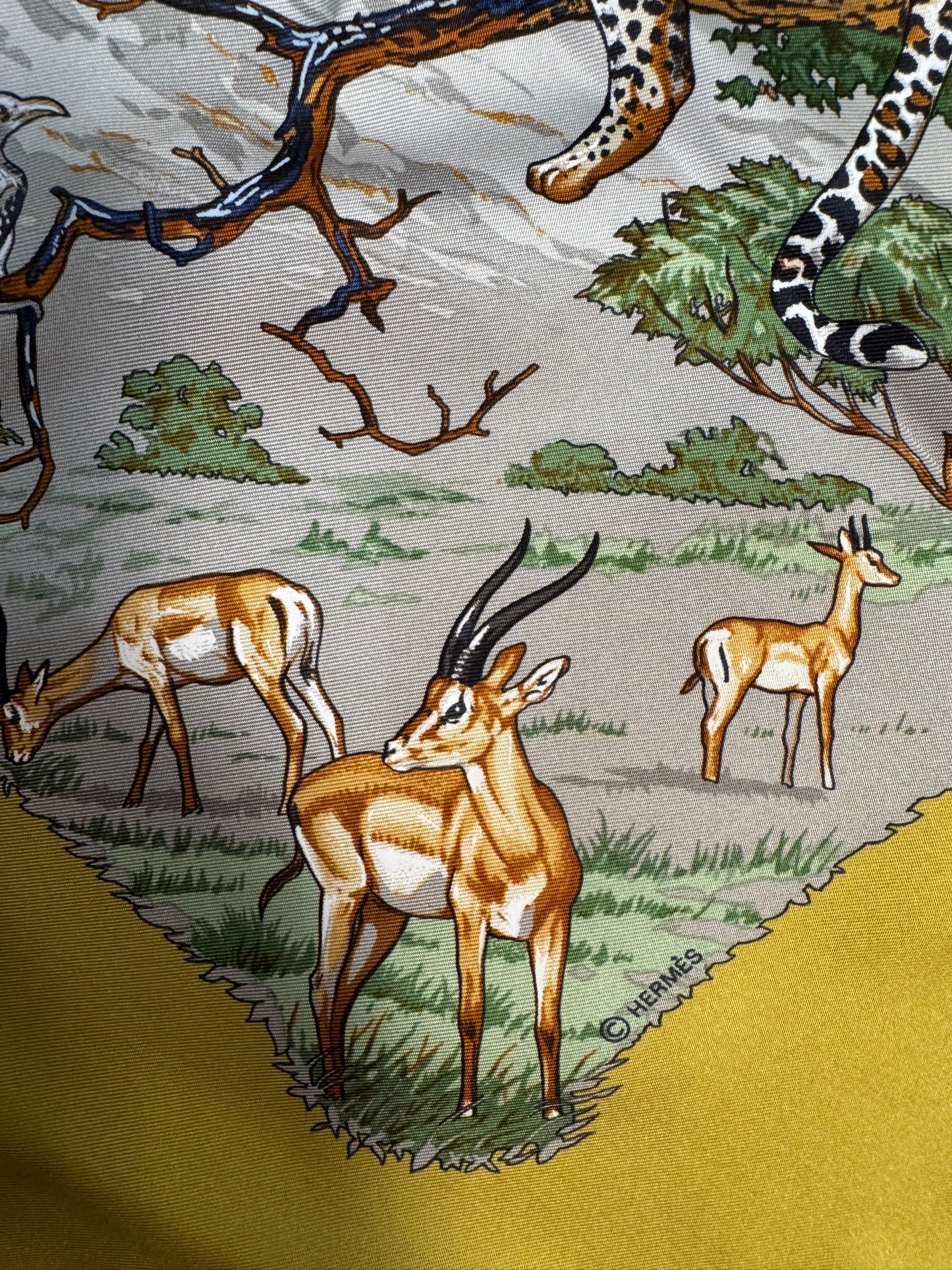 Hermès Tanzanie scarf
