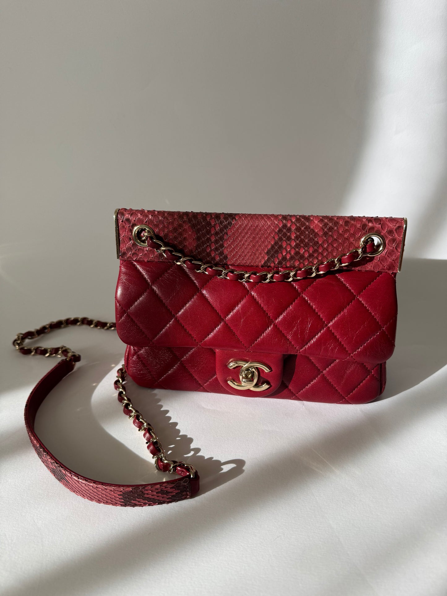 Chanel single flap with Python details