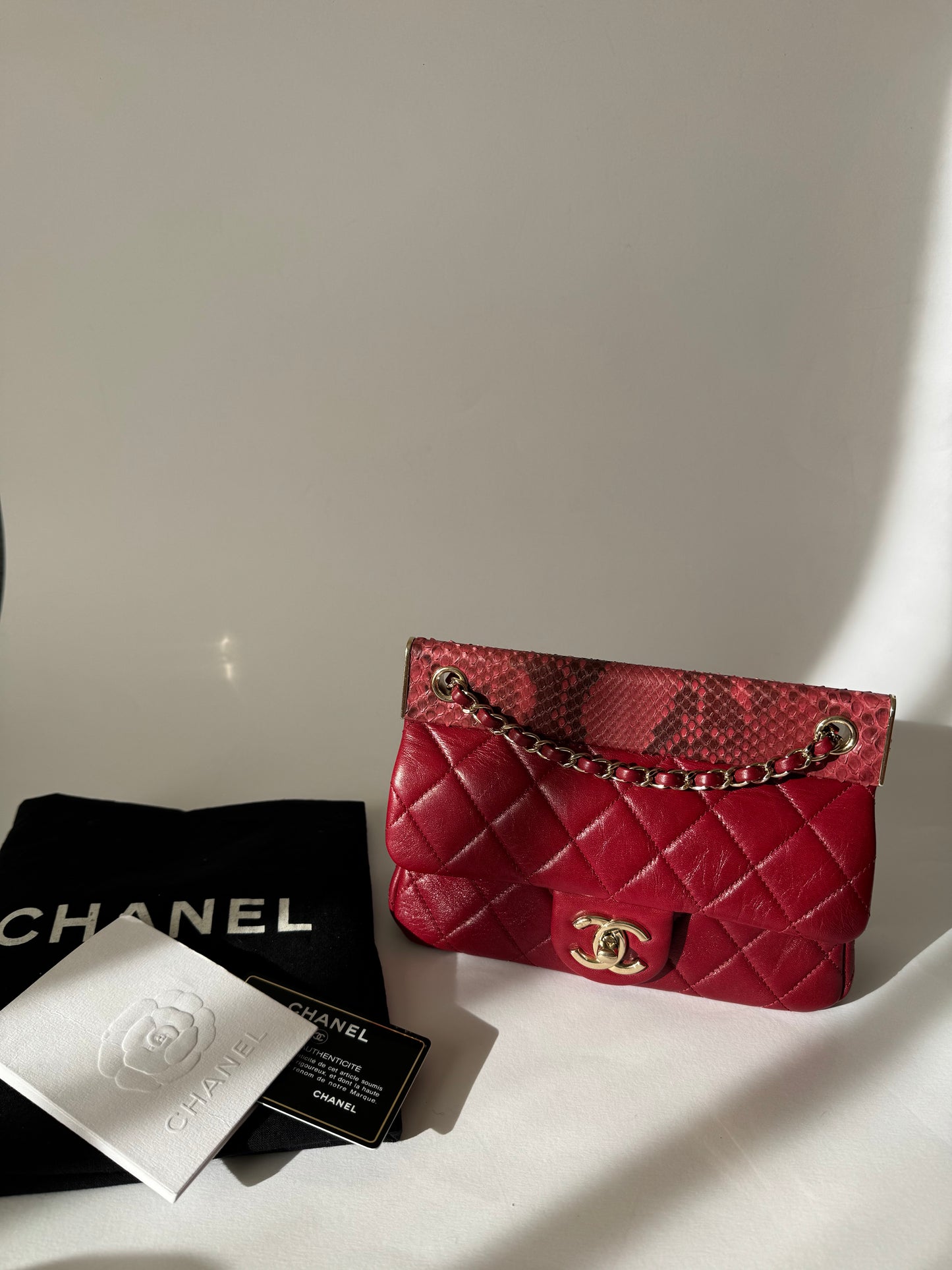 Chanel single flap with Python details