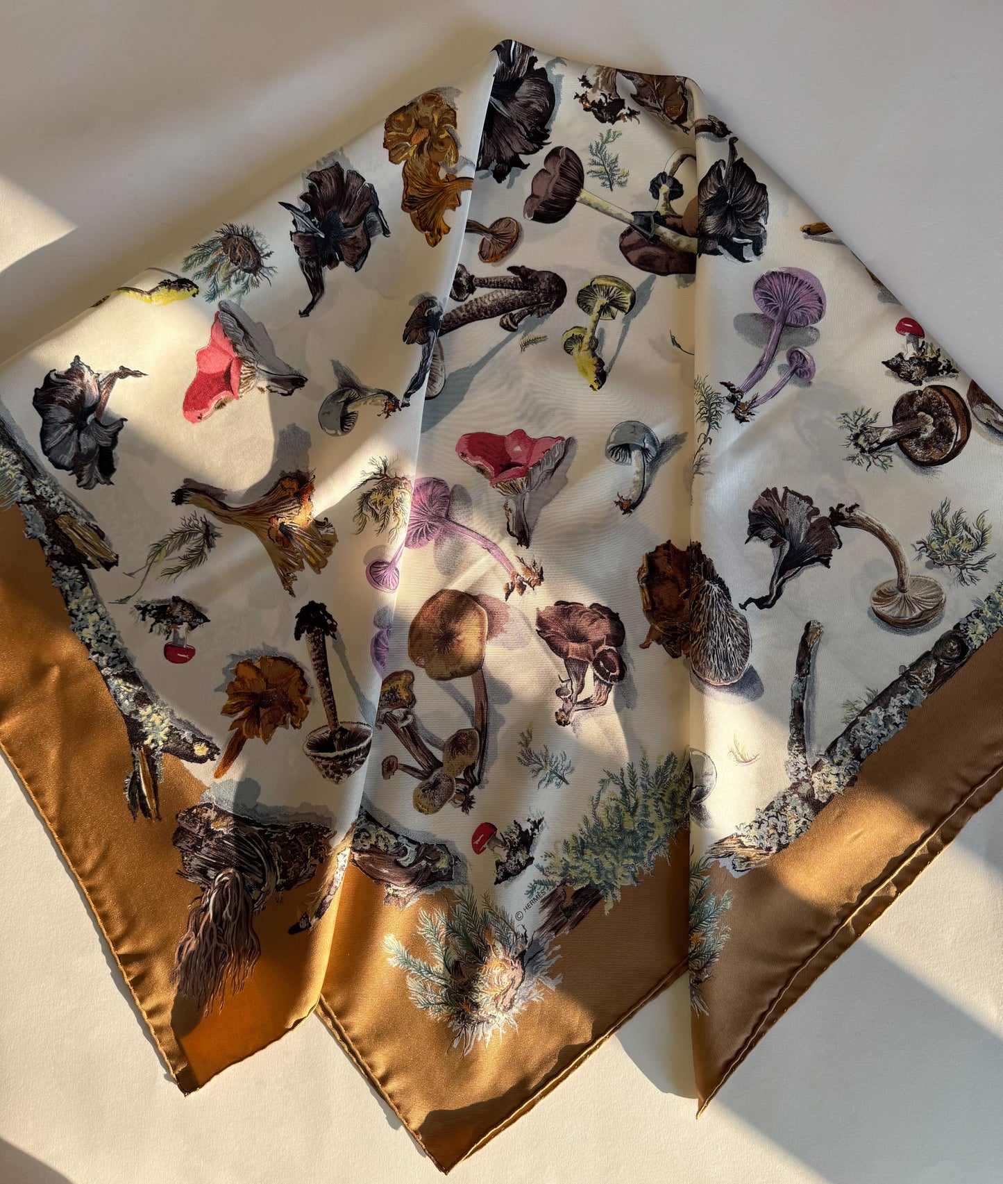 Hermés “Mushrooms” scarf