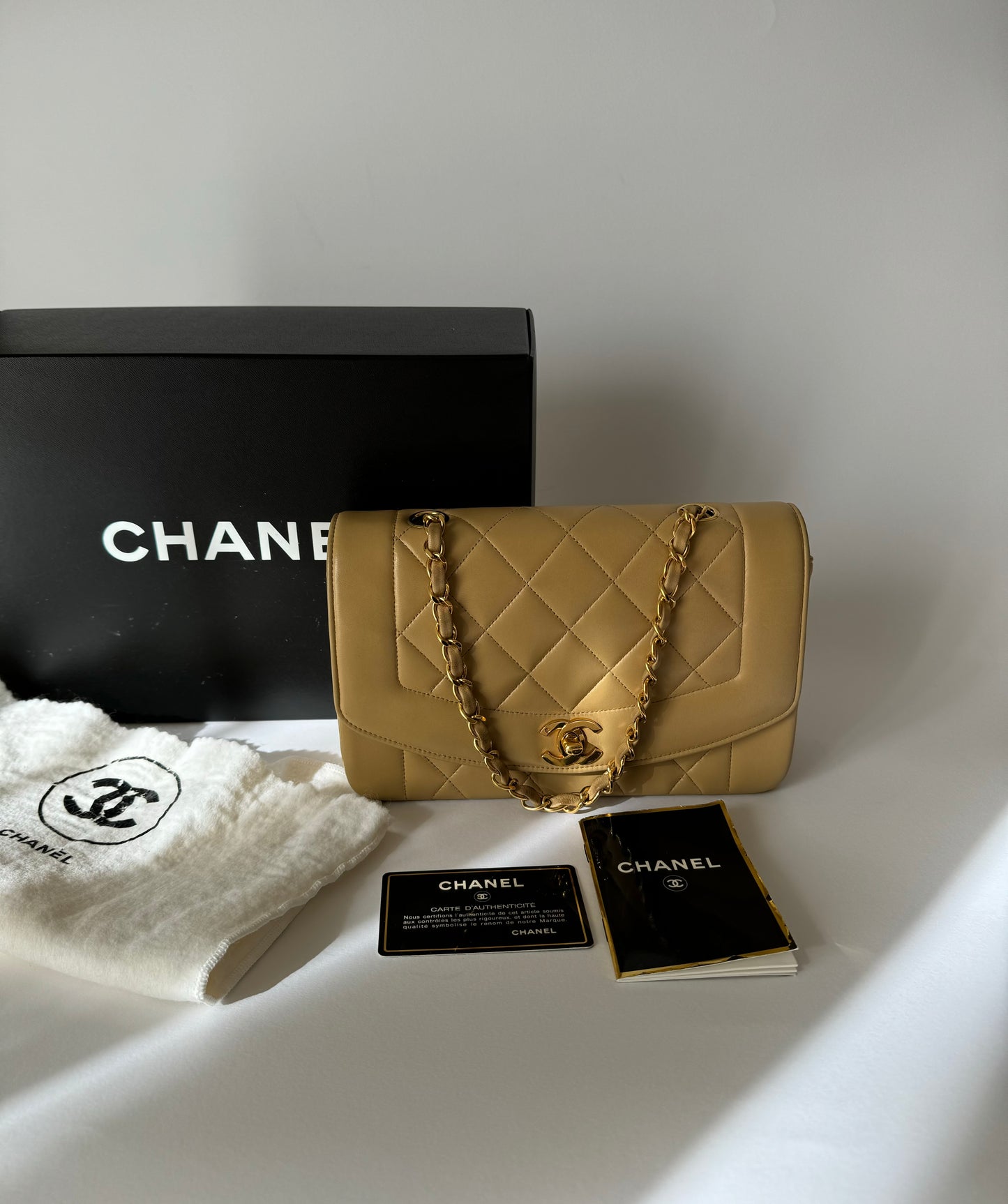 Chanel Diana Single Flap