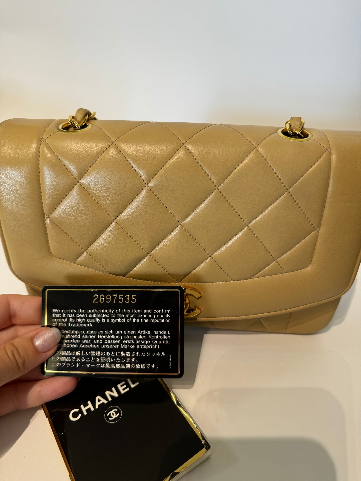 Chanel Diana Single Flap