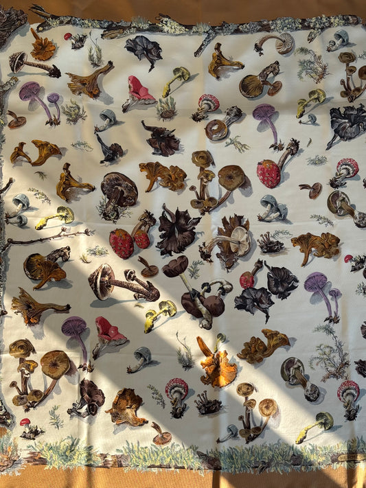 Hermés “Mushrooms” scarf