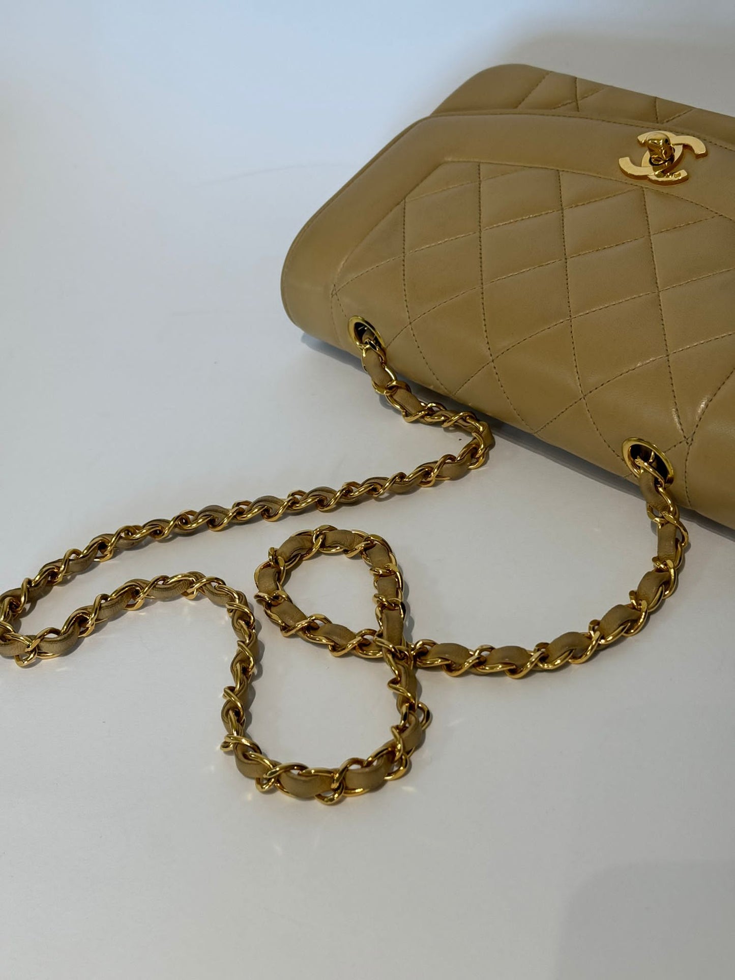 Chanel Diana Single Flap