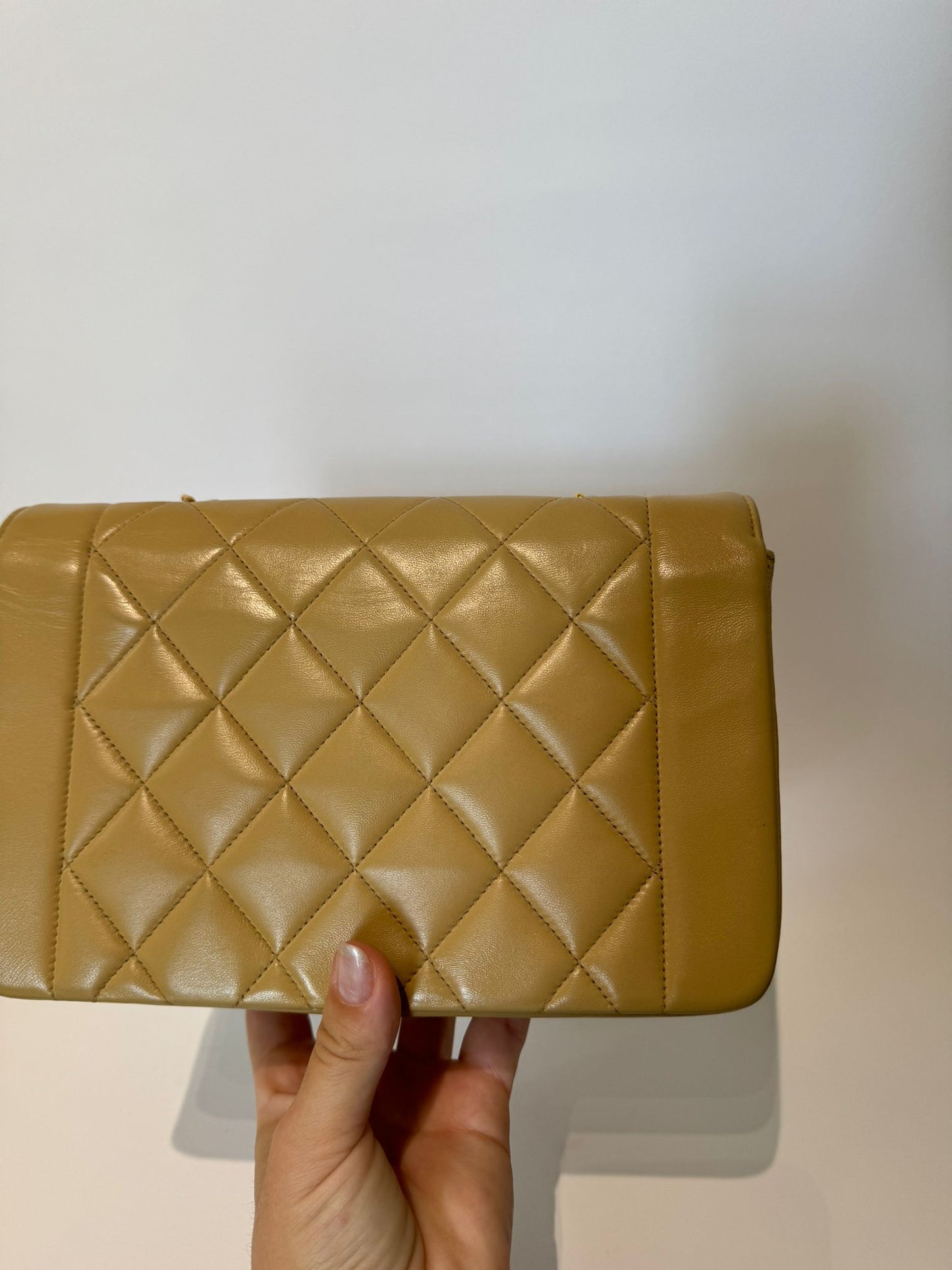 Chanel Diana Single Flap