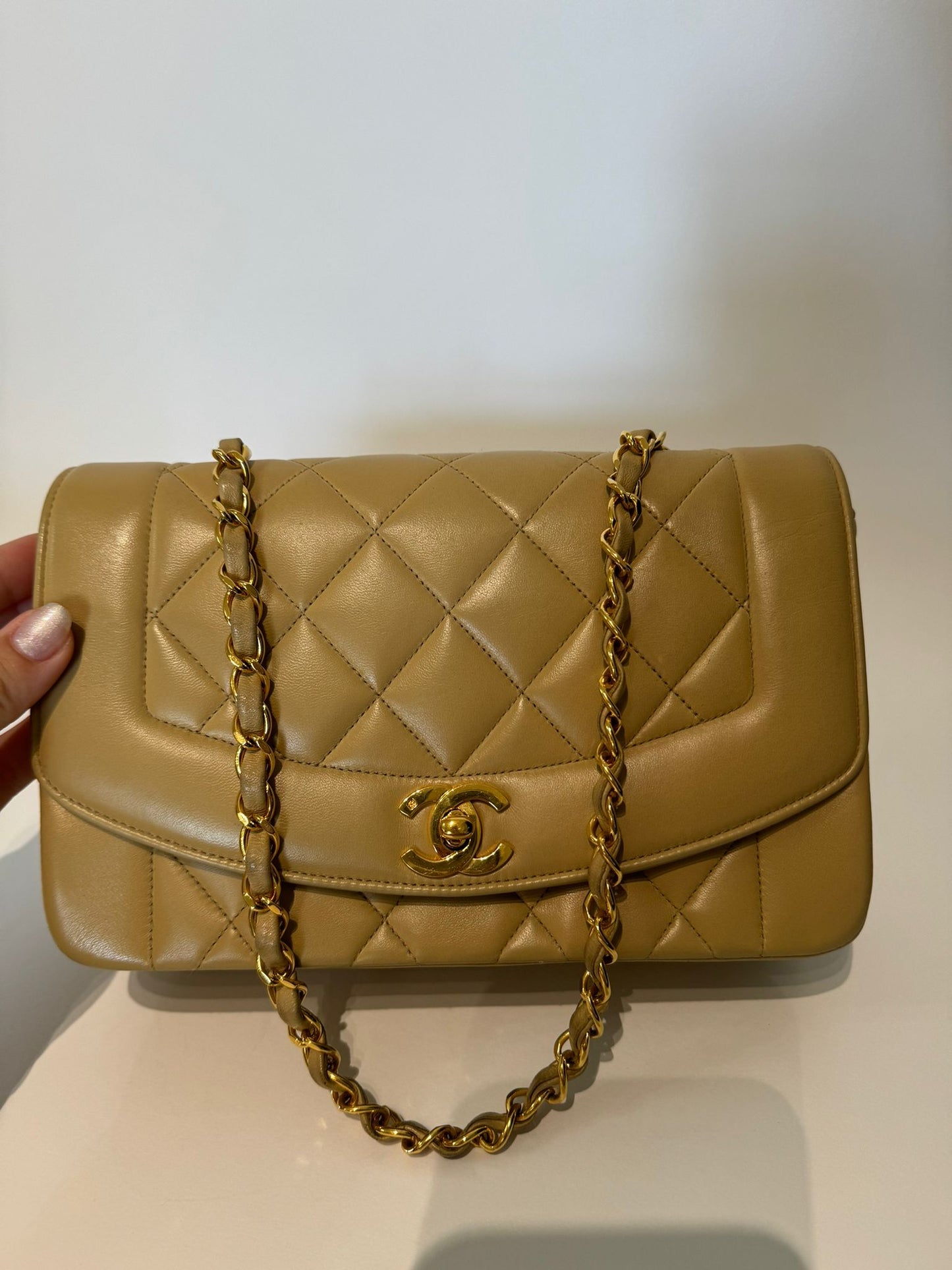 Chanel Diana Single Flap